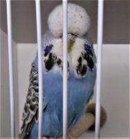 DSCF5808.JPG